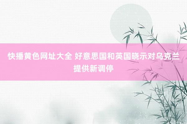 快播黄色网址大全 好意思国和英国晓示对乌克兰提供新调停