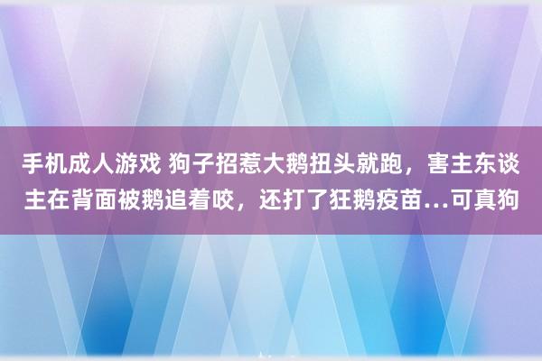 手机成人游戏 狗子招惹大鹅扭头就跑，害主东谈主在背面被鹅追着咬，还打了狂鹅疫苗…可真狗