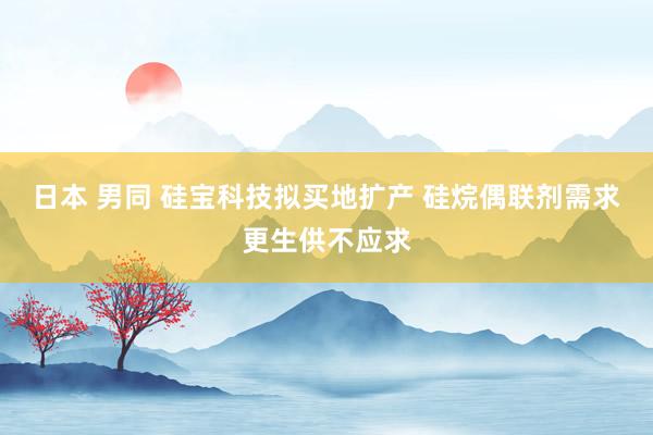 日本 男同 硅宝科技拟买地扩产 硅烷偶联剂需求更生供不应求