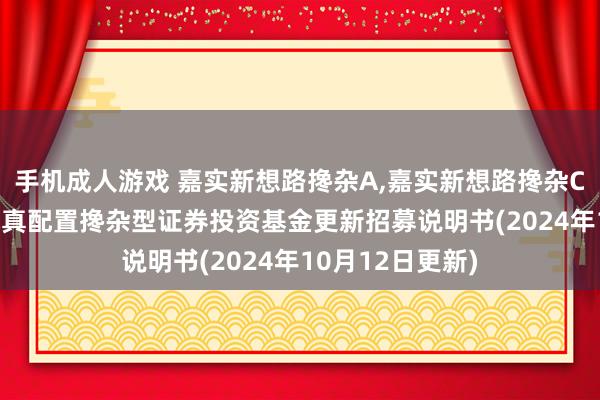 手机成人游戏 嘉实新想路搀杂A,嘉实新想路搀杂C: 嘉实新想路纯真配置搀杂型证券投资基金更新招募说明书(2024年10月12日更新)