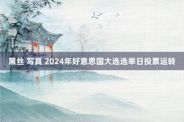 黑丝 写真 2024年好意思国大选选举日投票运转