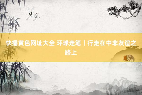 快播黄色网址大全 环球走笔｜行走在中非友谊之路上