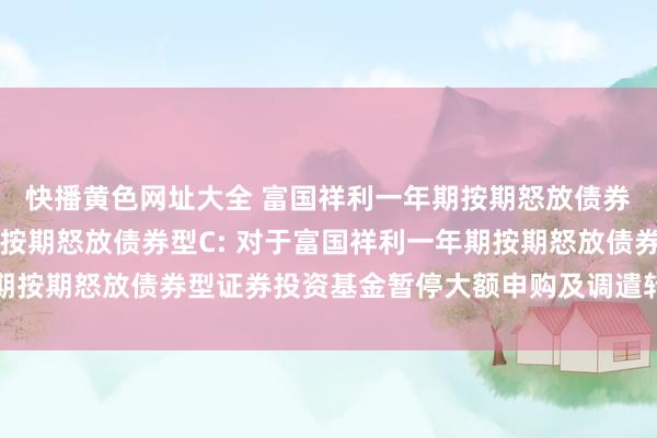 快播黄色网址大全 富国祥利一年期按期怒放债券型A,富国祥利一年期按期怒放债券型C: 对于富国祥利一年期按期怒放债券型证券投资基金暂停大额申购及调遣转入业务的公告