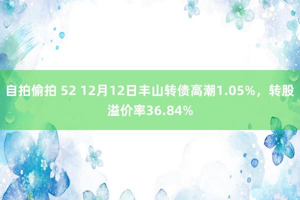 自拍偷拍 52 12月12日丰山转债高潮1.05%,转股溢价率36.84%