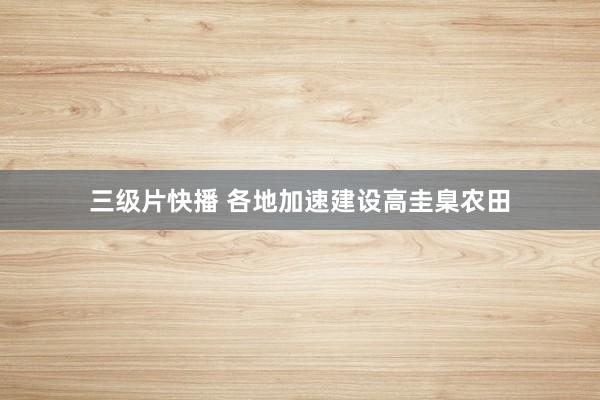 三级片快播 各地加速建设高圭臬农田