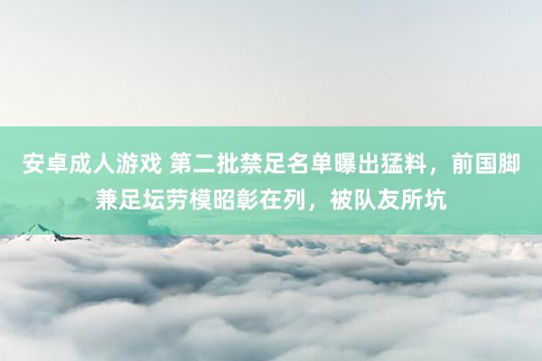 安卓成人游戏 第二批禁足名单曝出猛料，前国脚兼足坛劳模昭彰在列，被队友所坑