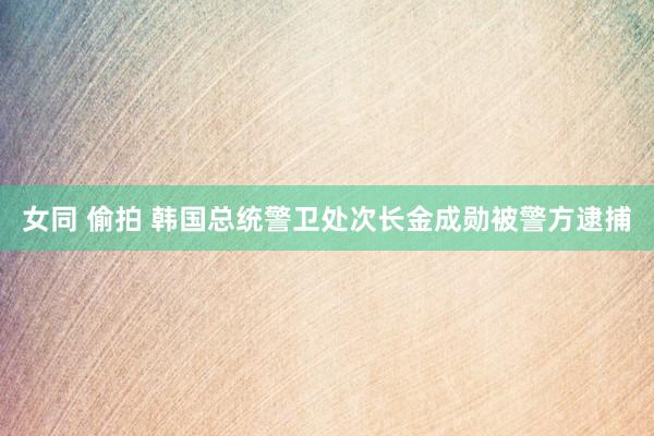 女同 偷拍 韩国总统警卫处次长金成勋被警方逮捕