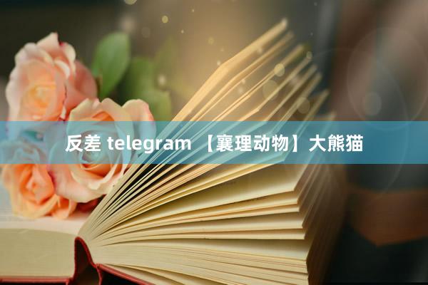 反差 telegram 【襄理动物】大熊猫