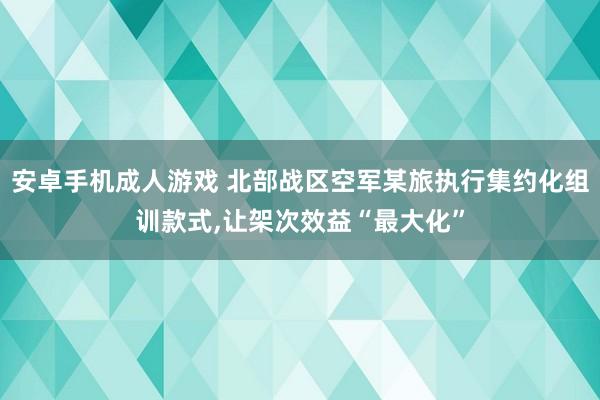 安卓手机成人游戏 北部战区空军某旅执行集约化组训款式，让架次效益“最大化”