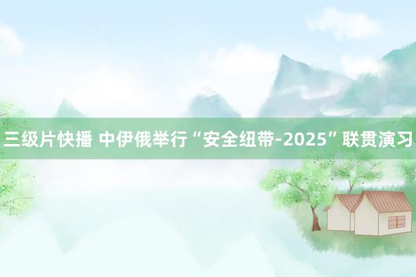 三级片快播 中伊俄举行“安全纽带-2025”联贯演习