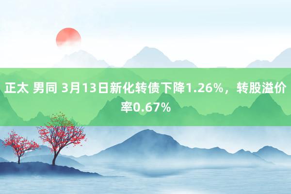 正太 男同 3月13日新化转债下降1.26%，转股溢价率0.67%