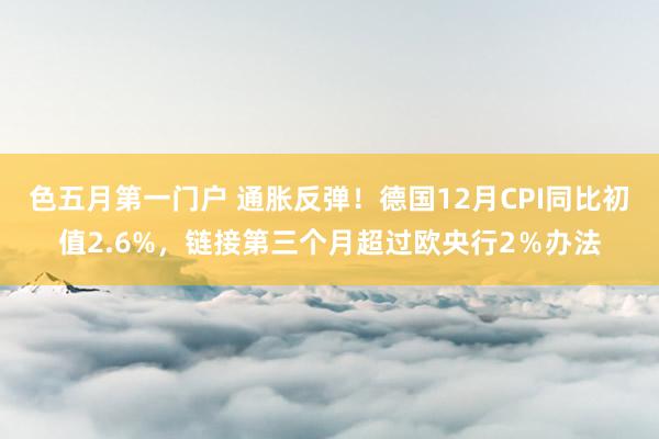 色五月第一门户 通胀反弹！德国12月CPI同比初值2.6%，链接第三个月超过欧央行2％办法