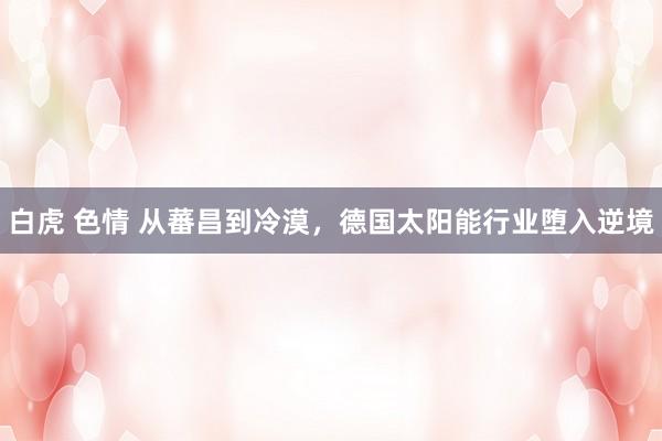 白虎 色情 从蕃昌到冷漠，德国太阳能行业堕入逆境