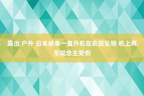 露出 户外 日本岐阜一直升机在农田坠毁 机上两东说念主受伤