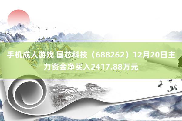 手机成人游戏 国芯科技（688262）12月20日主力资金净买入2417.88万元