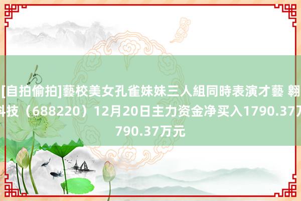 [自拍偷拍]藝校美女孔雀妹妹三人組同時表演才藝 翱捷科技（688220）12月20日主力资金净买入1790.37万元