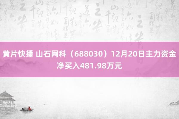黄片快播 山石网科（688030）12月20日主力资金净买入481.98万元