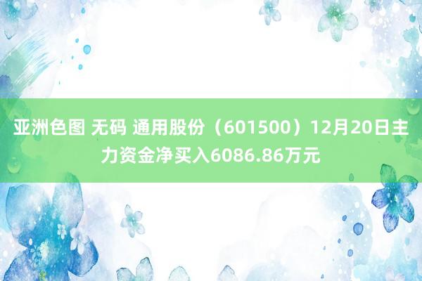 亚洲色图 无码 通用股份（601500）12月20日主力资金净买入6086.86万元
