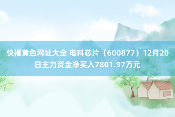 快播黄色网址大全 电科芯片（600877）12月20日主力资金净买入7801.97万元
