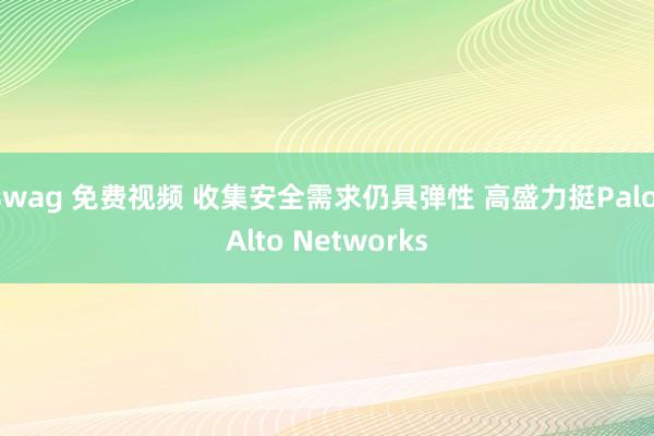 swag 免费视频 收集安全需求仍具弹性 高盛力挺Palo Alto Networks