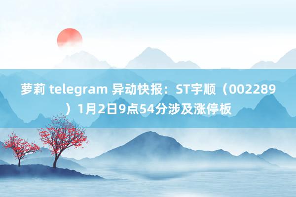 萝莉 telegram 异动快报：ST宇顺（002289）1月2日9点54分涉及涨停板