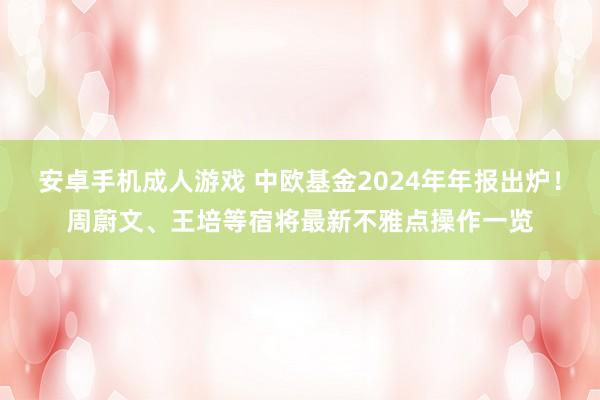 安卓手机成人游戏 中欧基金2024年年报出炉！周蔚文、王培等宿将最新不雅点操作一览