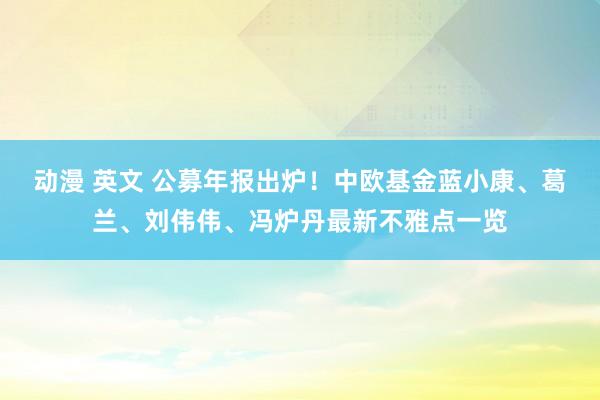 动漫 英文 公募年报出炉！中欧基金蓝小康、葛兰、刘伟伟、冯炉丹最新不雅点一览