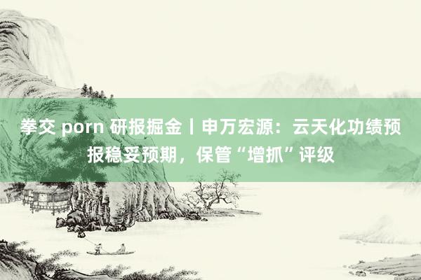 拳交 porn 研报掘金丨申万宏源：云天化功绩预报稳妥预期，保管“增抓”评级