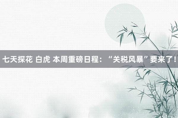 七天探花 白虎 本周重磅日程：“关税风暴”要来了！
