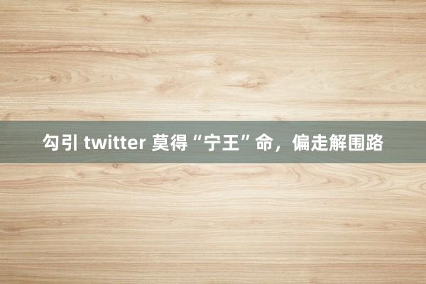 勾引 twitter 莫得“宁王”命，偏走解围路