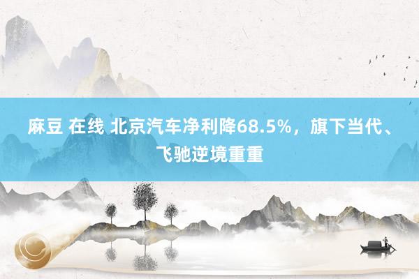麻豆 在线 北京汽车净利降68.5%，旗下当代、飞驰逆境重重