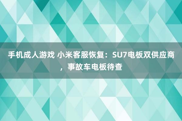 手机成人游戏 小米客服恢复：SU7电板双供应商，事故车电板待查
