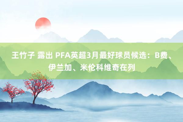 王竹子 露出 PFA英超3月最好球员候选：B费、伊兰加、米伦科维奇在列