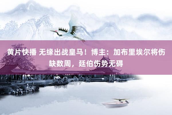 黄片快播 无缘出战皇马！博主：加布里埃尔将伤缺数周，廷伯伤势无碍