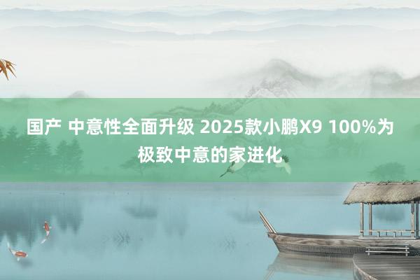 国产 中意性全面升级 2025款小鹏X9 100%为极致中意的家进化