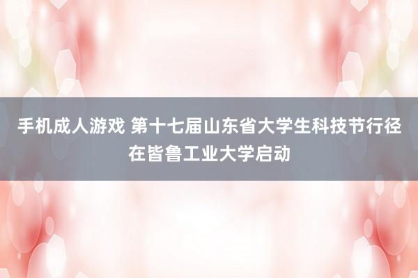 手机成人游戏 第十七届山东省大学生科技节行径在皆鲁工业大学启动