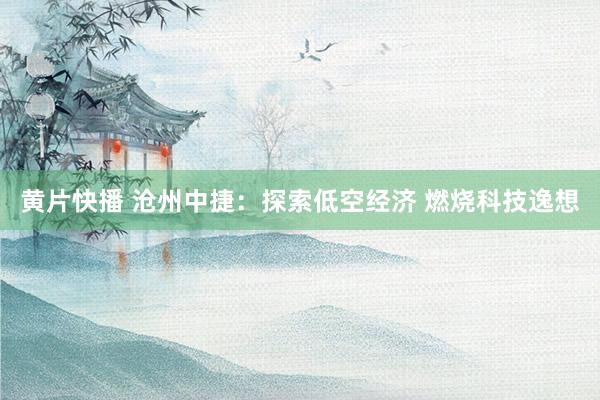 黄片快播 沧州中捷：探索低空经济 燃烧科技逸想