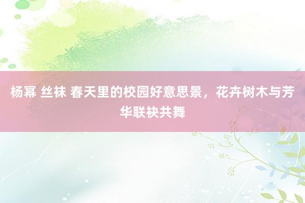 杨幂 丝袜 春天里的校园好意思景，花卉树木与芳华联袂共舞