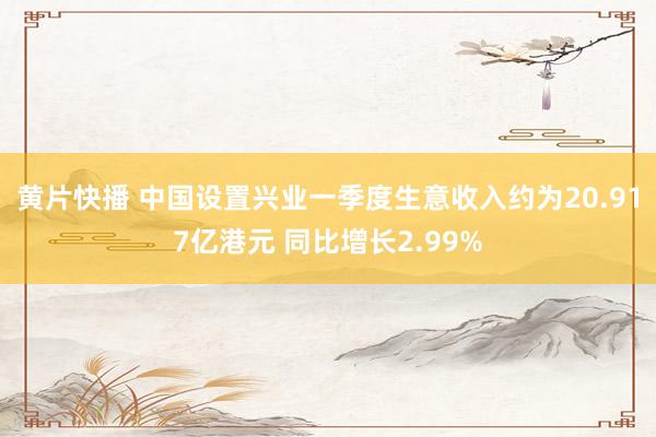 黄片快播 中国设置兴业一季度生意收入约为20.917亿港元 同比增长2.99%