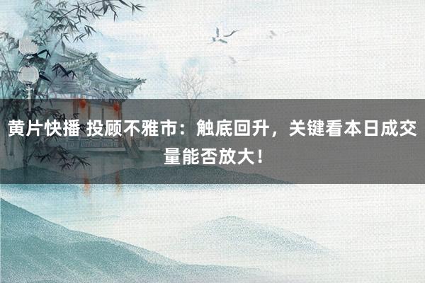 黄片快播 投顾不雅市：触底回升，关键看本日成交量能否放大！