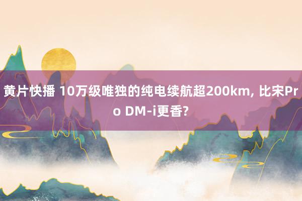 黄片快播 10万级唯独的纯电续航超200km， 比宋Pro DM-i更香?