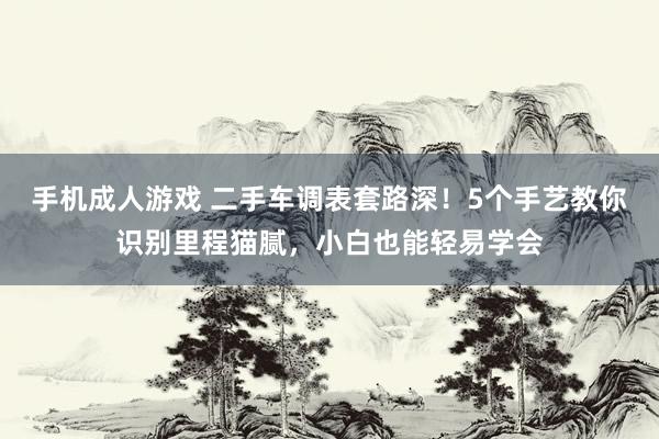 手机成人游戏 二手车调表套路深！5个手艺教你识别里程猫腻，小白也能轻易学会