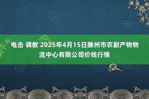 电击 调教 2025年4月15日滕州市农副产物物流中心有限公司价钱行情