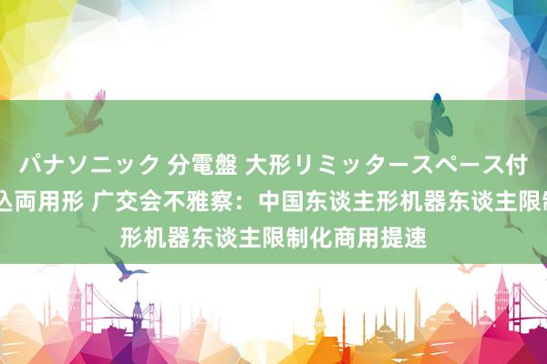 パナソニック 分電盤 大形リミッタースペース付 露出・半埋込両用形 广交会不雅察：中国东谈主形机器东谈主限制化商用提速