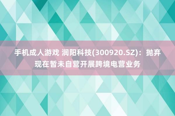 手机成人游戏 润阳科技(300920.SZ)：抛弃现在暂未自营开展跨境电营业务