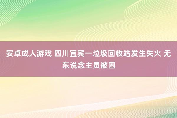 安卓成人游戏 四川宜宾一垃圾回收站发生失火 无东说念主员被困