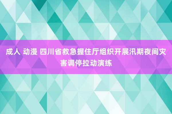 成人 动漫 四川省救急握住厅组织开展汛期夜间灾害调停拉动演练