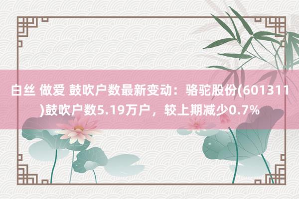 白丝 做爱 鼓吹户数最新变动：骆驼股份(601311)鼓吹户数5.19万户，较上期减少0.7%
