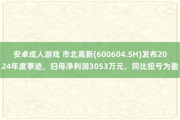 安卓成人游戏 市北高新(600604.SH)发布2024年度事迹，归母净利润3053万元，同比扭亏为盈