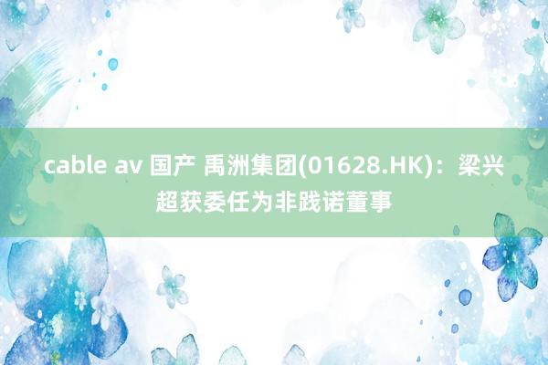 cable av 国产 禹洲集团(01628.HK)：梁兴超获委任为非践诺董事